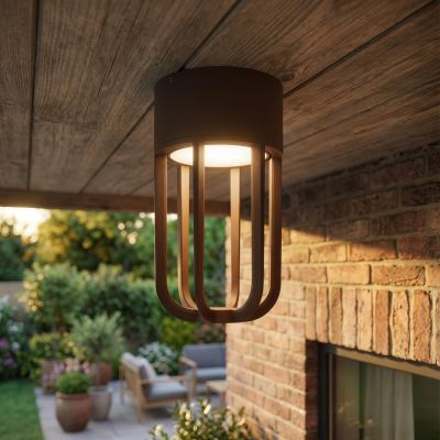 Lucide WELLS - Flush ceiling light Indoor/Outdoor - Ø 10 cm - LED - 1x8W 2700K - IP54 - Rust Brown